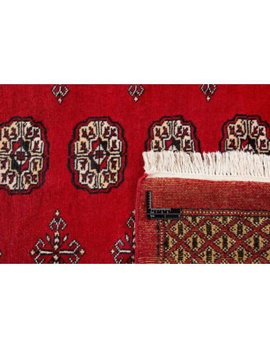 Hand made rug Bukhara fine Pakistan cm.308x428