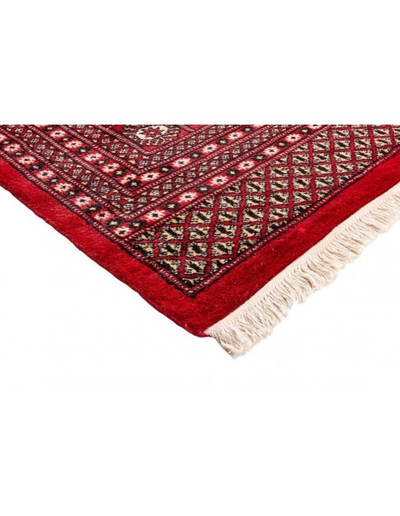 Hand made rug Bukhara fine Pakistan cm.308x428