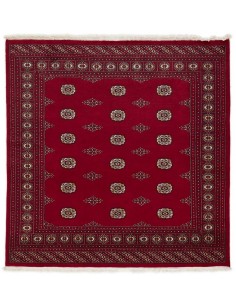 Hand made rug Bukhara fine Pakistan cm.201x203