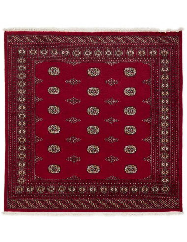 Hand made rug Bukhara fine Pakistan cm.201x203
