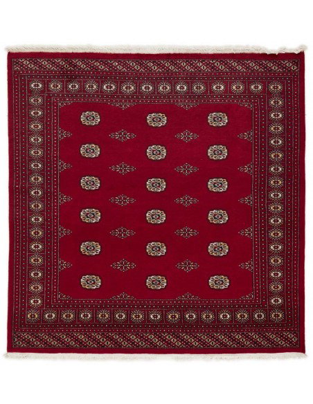 Hand made rug Bukhara fine Pakistan cm.201x203