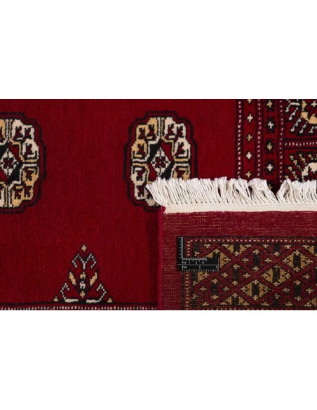 Hand made rug Bukhara fine Pakistan cm.201x203