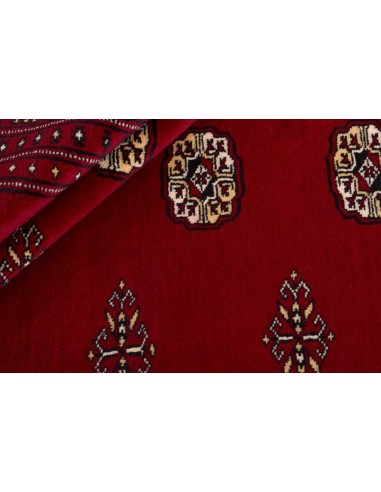 Hand made rug Bukhara fine Pakistan cm.201x203