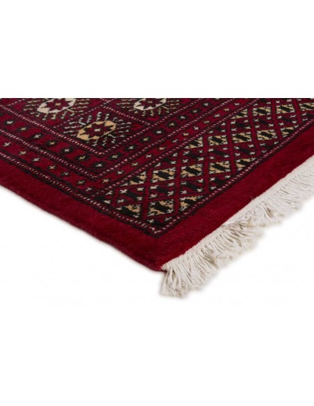 Hand made rug Bukhara fine Pakistan cm.201x203