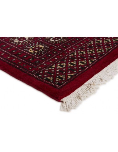 Hand made rug Bukhara fine Pakistan cm.201x203