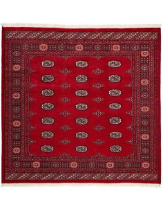 Hand made rug Bukhara fine Pakistan cm.205x199