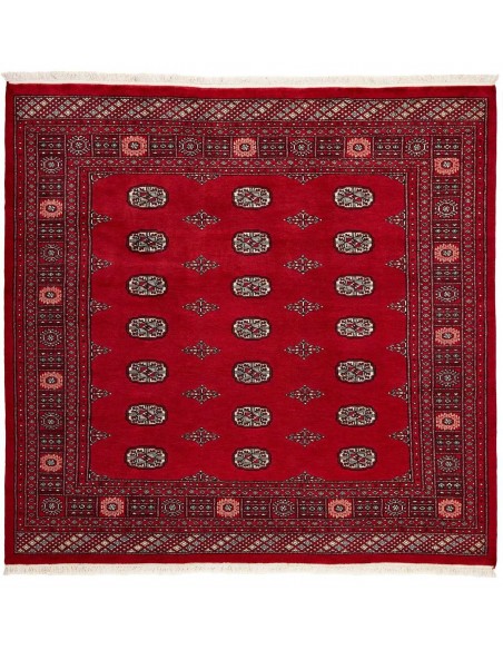 Hand made rug Bukhara fine Pakistan cm.205x199