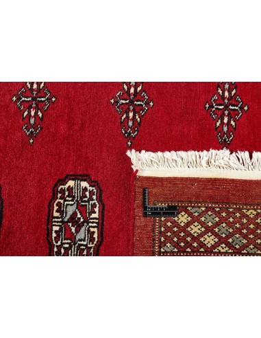 Hand made rug Bukhara fine Pakistan cm.205x199