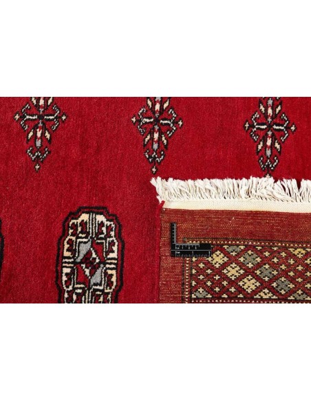 Hand made rug Bukhara fine Pakistan cm.205x199