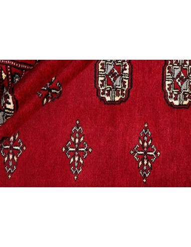 Hand made rug Bukhara fine Pakistan cm.205x199