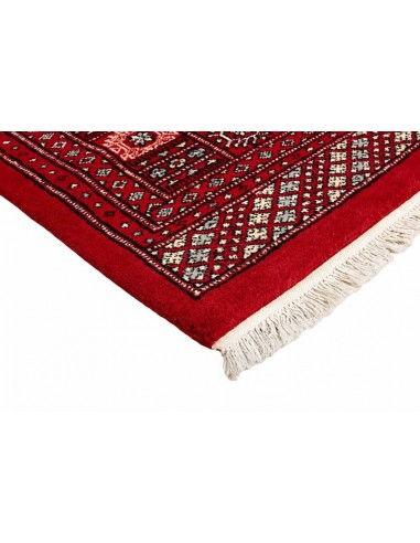 Hand made rug Bukhara fine Pakistan cm.205x199