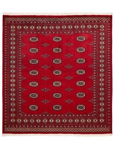 Hand made rug Bukhara fine Pakistan cm.204x208