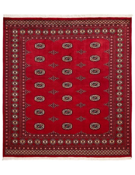 Hand made rug Bukhara fine Pakistan cm.204x208