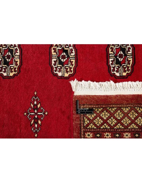 Hand made rug Bukhara fine Pakistan cm.204x208