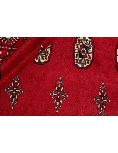 Hand made rug Bukhara fine Pakistan cm.204x208