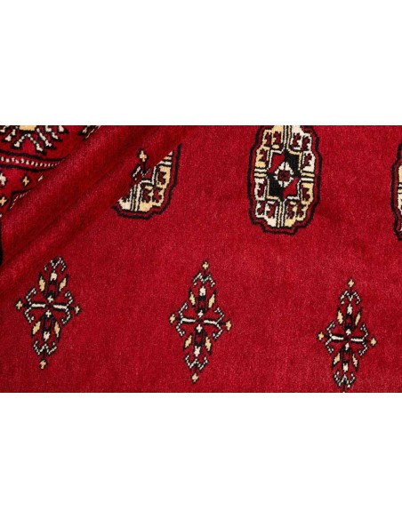 Hand made rug Bukhara fine Pakistan cm.204x208