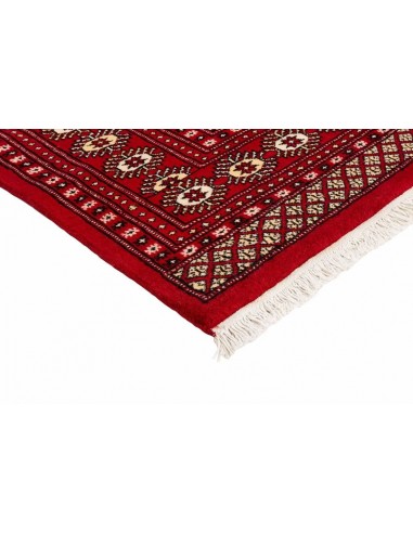 Hand made rug Bukhara fine Pakistan cm.204x208
