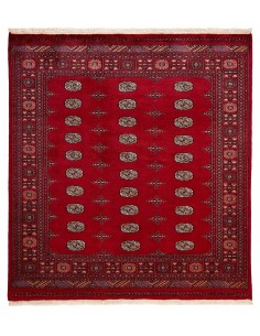 Hand made rug Bukhara fine Pakistan cm.200x210