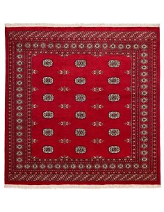 Hand made rug Bukhara fine Pakistan cm.201x205
