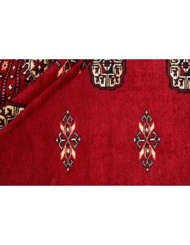 Hand made rug Bukhara fine Pakistan cm.201x205