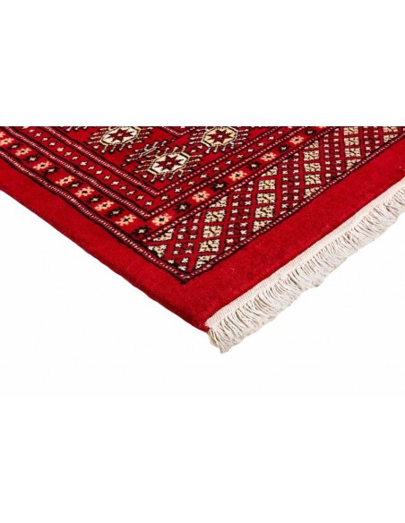 Hand made rug Bukhara fine Pakistan cm.201x205