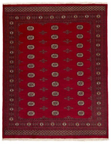 Hand made rug Bukhara fine Pakistan cm.200x255