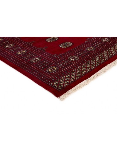 Hand made rug Bukhara fine Pakistan cm.200x255