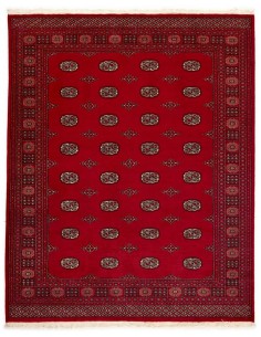 Hand made rug Bukhara fine Pakistan cm.203x252