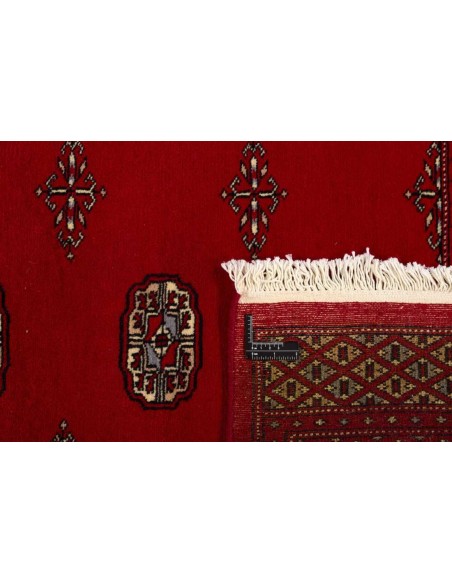 Hand made rug Bukhara fine Pakistan cm.203x252