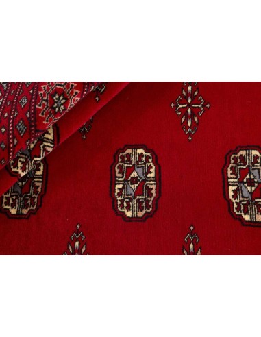 Hand made rug Bukhara fine Pakistan cm.203x252