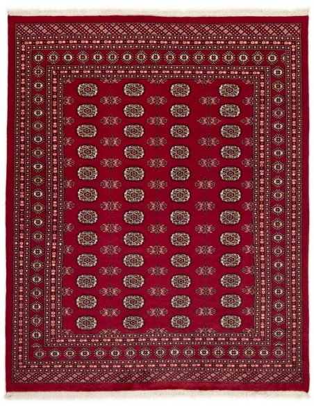 Hand made rug Bukhara fine Pakistan cm.200x246