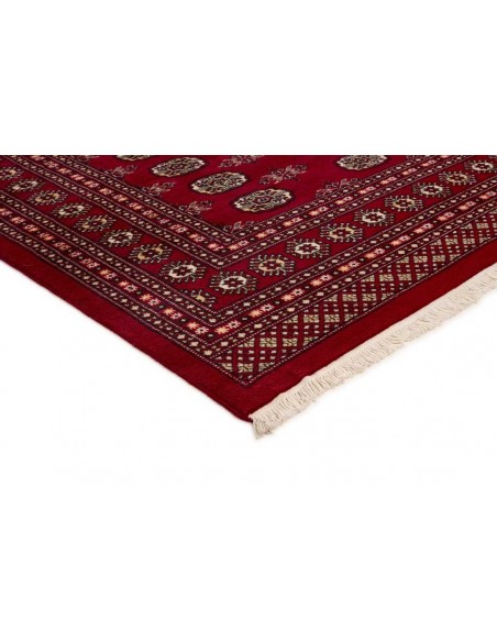 Hand made rug Bukhara fine Pakistan cm.200x246