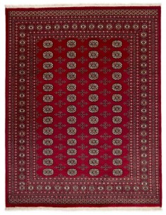 Hand made rug Bukhara fine Pakistan cm.203x259