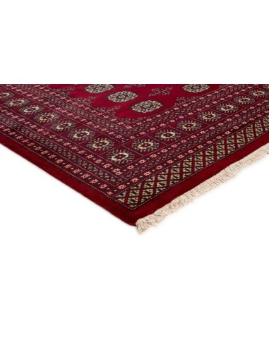 Hand made rug Bukhara fine Pakistan cm.203x259