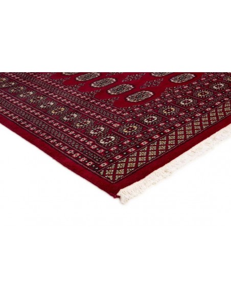 Hand made rug Bukhara fine Pakistan cm.202x248