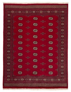 Hand made rug Bukhara fine Pakistan cm.200x259