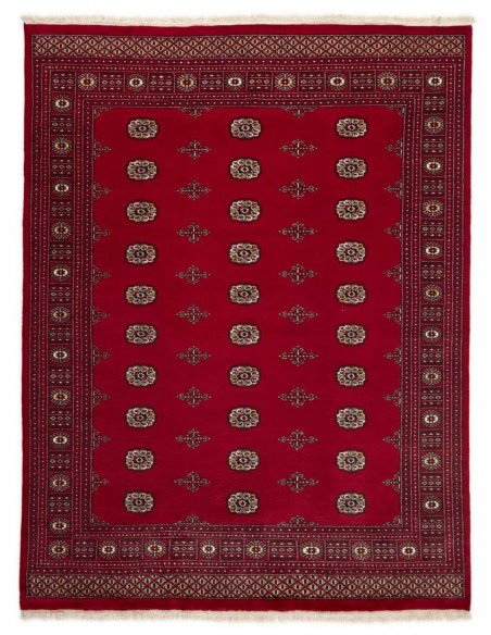 Hand made rug Bukhara fine Pakistan cm.200x259