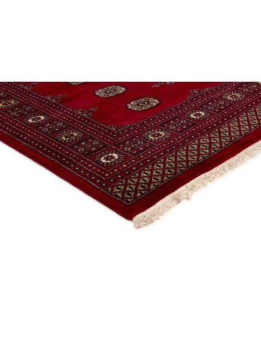 Hand made rug Bukhara fine Pakistan cm.200x259