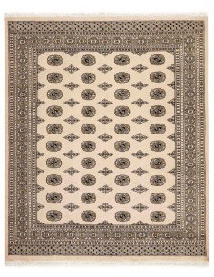 Hand made rug Bukhara fine Pakistan cm.203x245