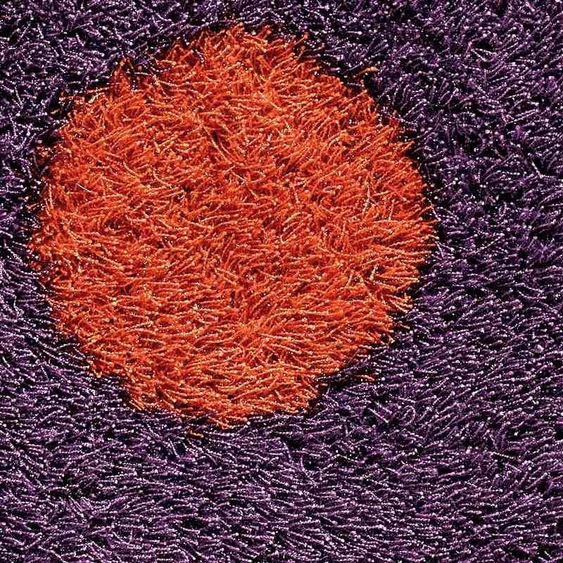 Carpet DAISY SITAP PURPLE ROTONDO bambini da EUR 202.52