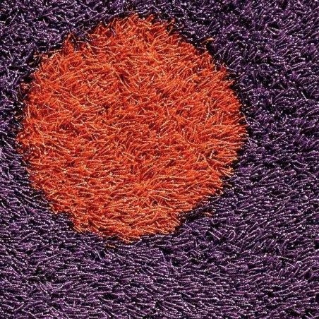 Carpet DAISY SITAP PURPLE ROTONDO bambini da EUR 202.52
