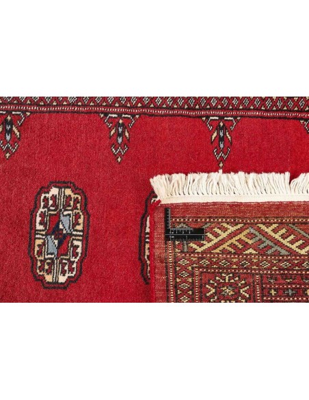 Hand made rug Bukhara fine Pakistan cm.81x315