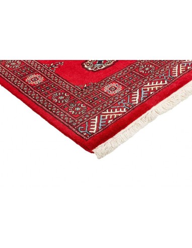 Hand made rug Bukhara fine Pakistan cm.81x315