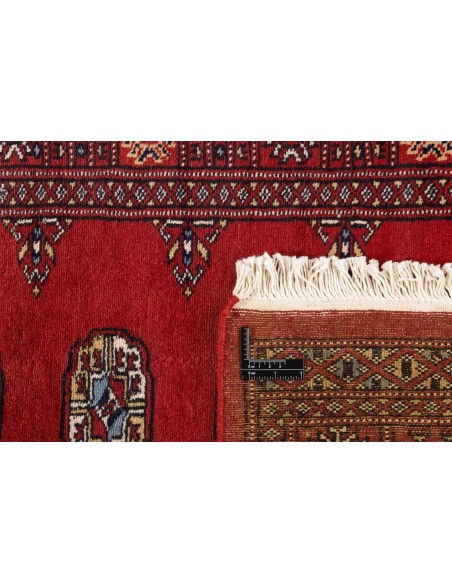 Hand made rug Bukhara fine Pakistan cm.80x312