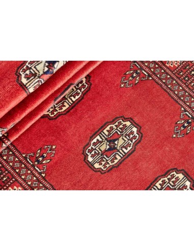 Hand made rug Bukhara fine Pakistan cm.77x426