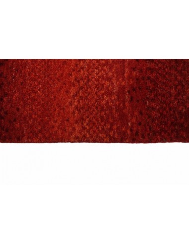 Hand made rug Gabbeh Fine Persia cm.228x327