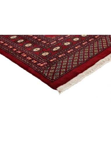 Hand made rug Bukhara fine Pakistan cm.200x310