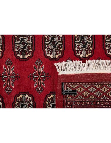 Hand made rug Bukhara fine Pakistan cm.216x303