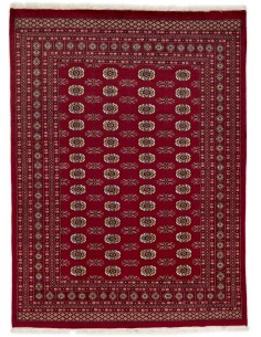 Hand made rug Bukhara fine Pakistan cm.199x269