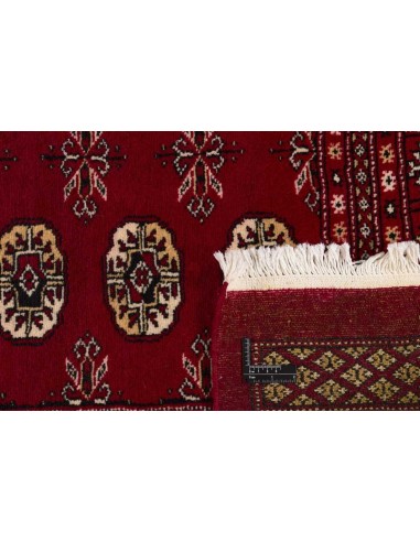 Hand made rug Bukhara fine Pakistan cm.199x269